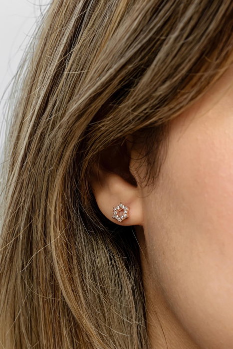 Heliophilia Silver Pendientes de Plata de Ley 925 con Oro Rosa y Circón NRZ999487